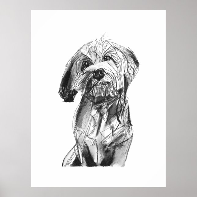 Póster de Arte de Cavapoo, Impresión de Arte de Pe (Frente)