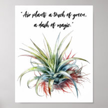 Poster de arte de citación de la planta de aire