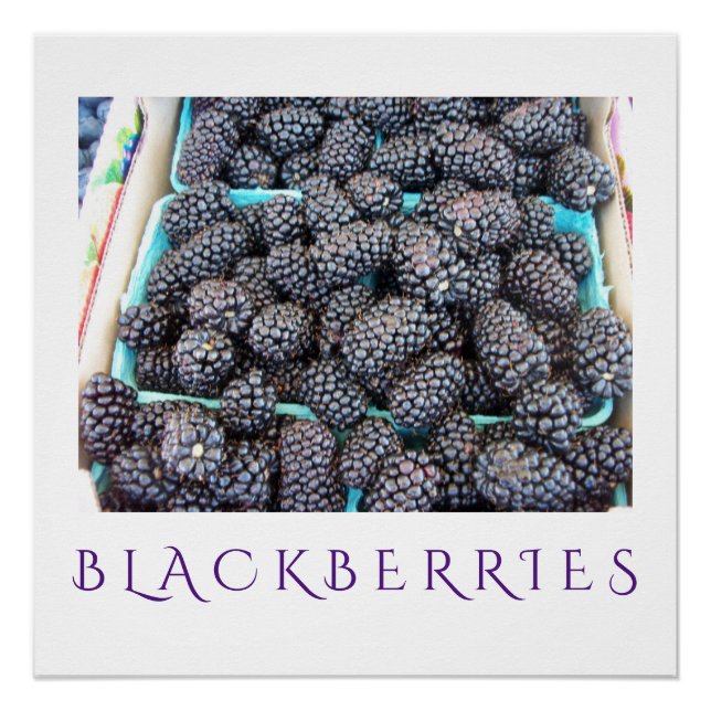 Poster de arte de cocina de Blackberries para deco (Anverso)
