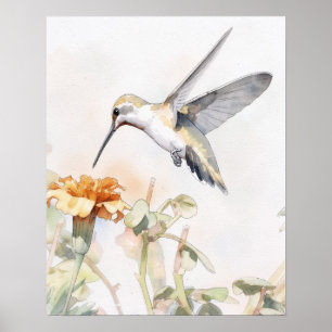 Póster de Arte de Colibrí