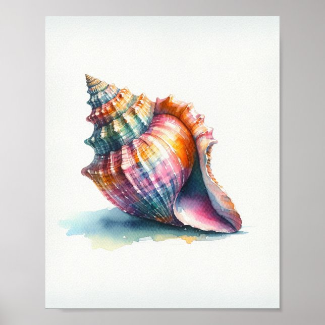 Póster de arte de conchas al aguarela (Frente)
