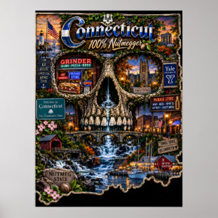 Póster de arte de cráneo de Connecticut - Estado d
