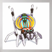 Poster de arte de dibujos de araña de pavo real de