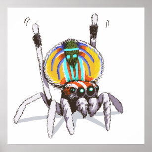Poster de arte de dibujos de araña de pavo real de