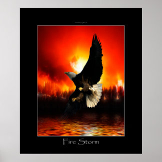 POSTER de arte de FIRESTORM Bald Eagle