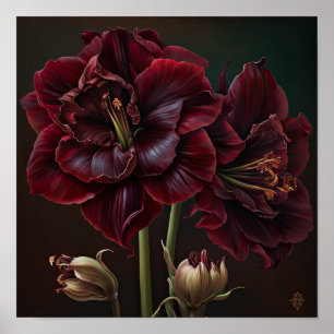 Póster de Arte de Flor de Amarilis de Borgoña