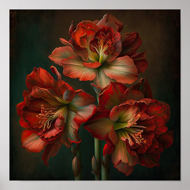 Póster de Arte de Flor de Amarilis Roja (Frente)