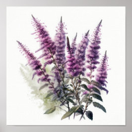 Póster de Arte de Flor de Astilbe Púrpura