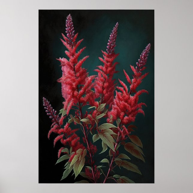 Póster de Arte de Flor de Astilbe Roja (Frente)