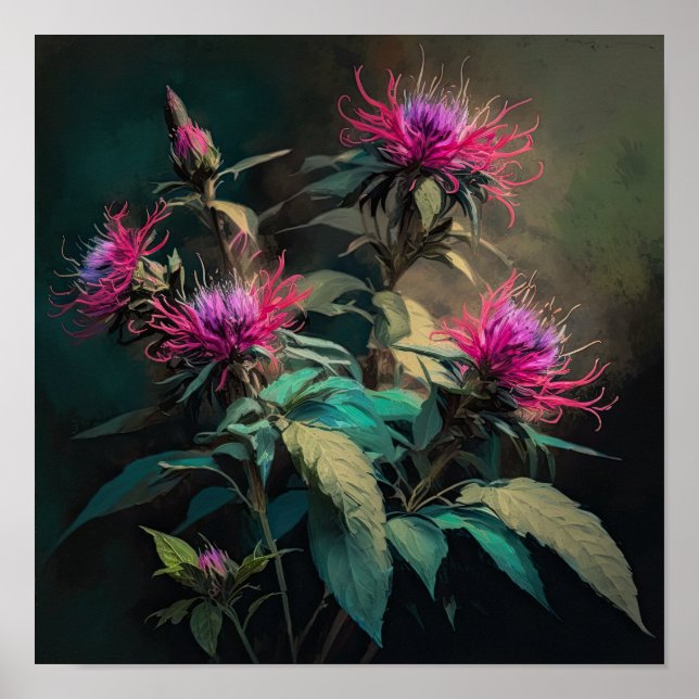 Póster de Arte de Flor de Bálsamo de Abeja Rojo (Frente)