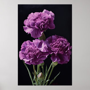 Póster de Arte de Flor de Claveles Purpura