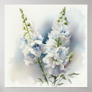 Póster de Arte de Flor de Delphinium Blanco
