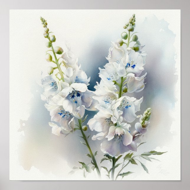 Póster de Arte de Flor de Delphinium Blanco (Frente)