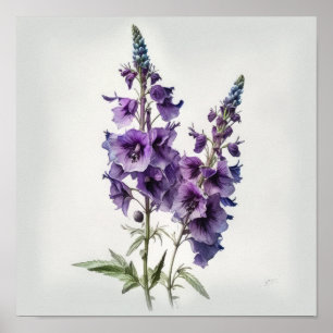 Póster de Arte de Flor de Delphinium Morado