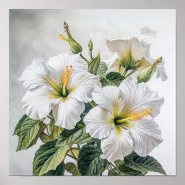 Póster de Arte de Flor de Hibisco Blanco