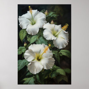 Póster de Arte de Flor de Hibisco Blanco