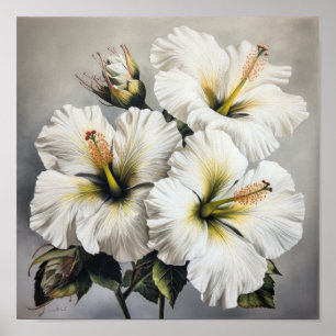 Póster de Arte de Flor de Hibisco Blanco
