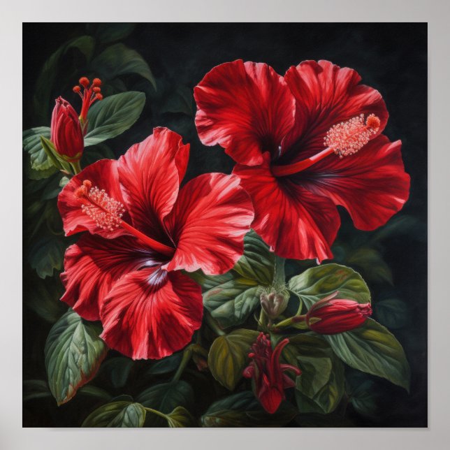 Póster de Arte de Flor de Hibisco Rojo (Frente)