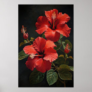Póster de Arte de Flor de Hibisco Rojo