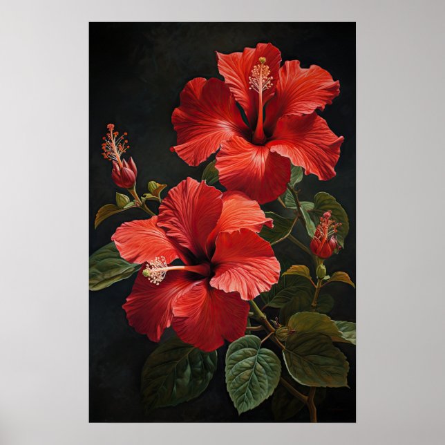 Póster de Arte de Flor de Hibisco Rojo (Frente)