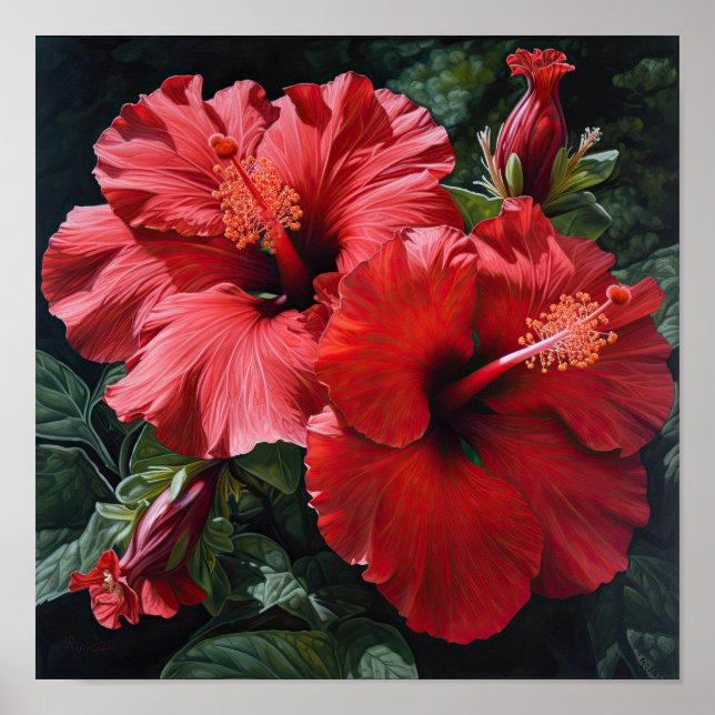 Póster de Arte de Flor de Hibisco Rojo (Frente)