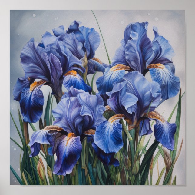 Póster de Arte de Flor de Iris Azul (Frente)