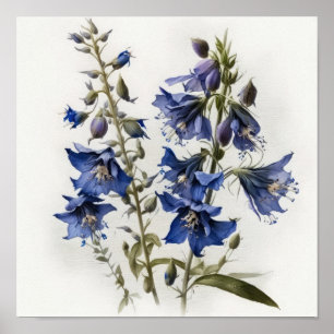 Póster de Arte de Flor de Larkspur Azul