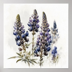 Póster de Arte de Flor de Lupino Azul
