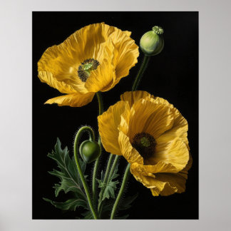 Póster de Arte de Flores de Amapola Amarilla de Ca