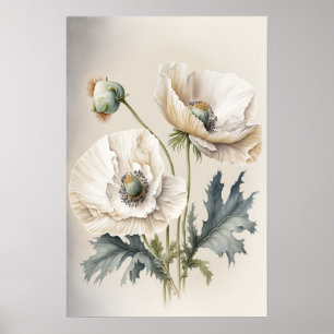 Póster de Arte de Flores de Amapola Blanca