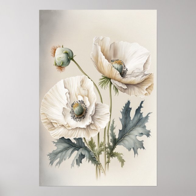 Póster de Arte de Flores de Amapola Blanca (Frente)