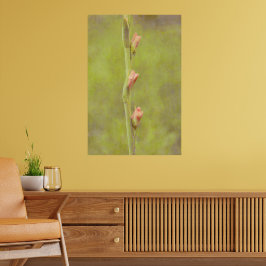 Poster de arte de Flores Rosa Buds Gladiolus