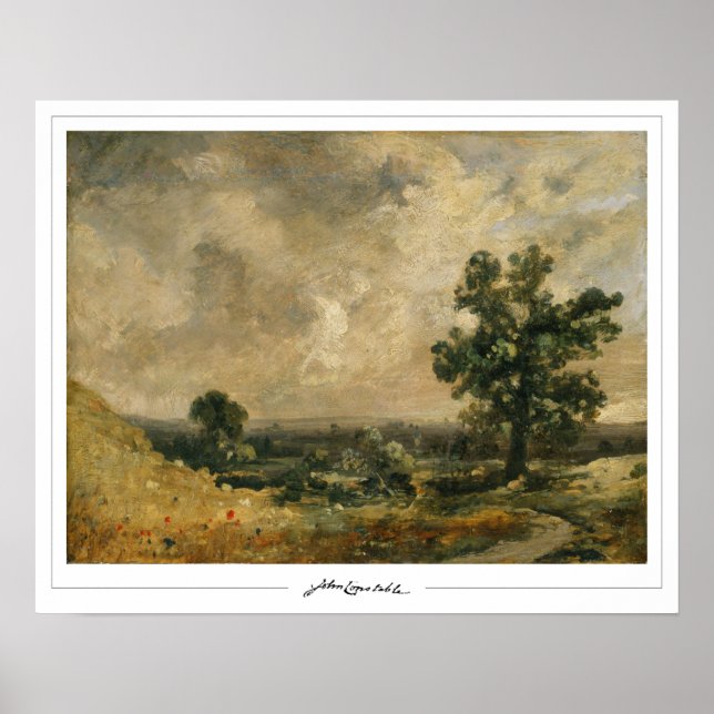 Póster de arte de John Constable Zedign #14 (Frente)