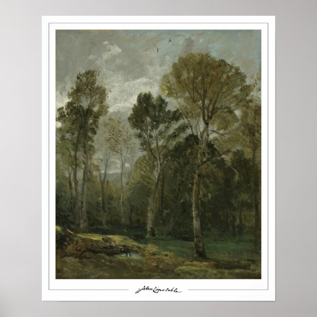 Póster de arte de John Constable Zedign #158 (Frente)
