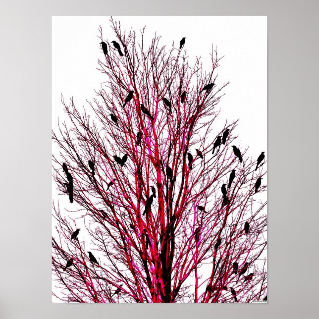 poster de arte de JTG "Aves de Texas Red" (Frente)