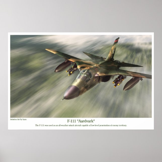 poster de arte de la aviación "F-111 Aardvark" (Frente)