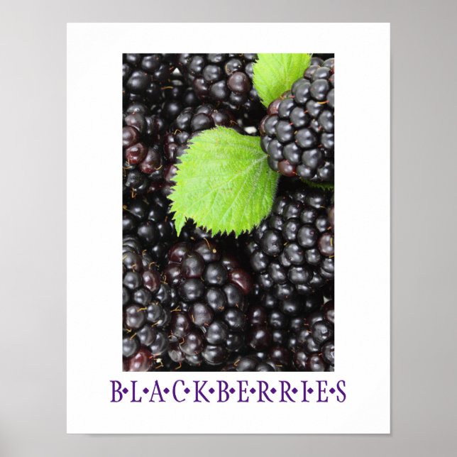 Poster de arte de la cocina de Blackberries (Frente)