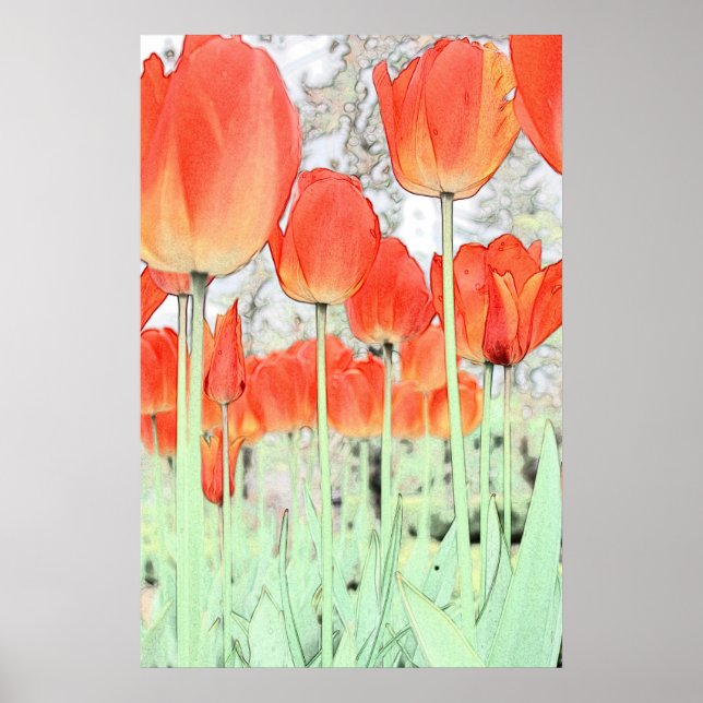 poster de arte de la flor de tulipán rojo (Frente)