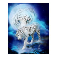Poster de arte de la luna del tigre blanco/impresi