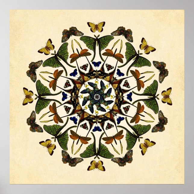 Poster de arte de la mariposa de la Tierra alada K (Frente)