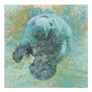 Poster de arte de la vaca marina de Manatee
