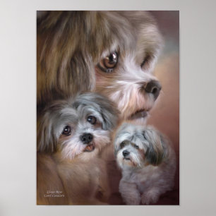 Poster de arte de Lhasa Apso/Imprimir
