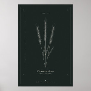 Póster de arte de línea botánica de gavilla de tri