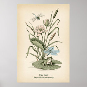Póster de arte de línea de lirio de estanque de ra