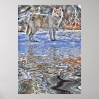 Poster de Arte de Lobo Ártico, Nieve y Lago Silves