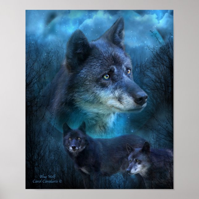 Poster de arte de Lobo Azul/Imprimir (Frente)