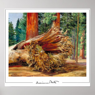 Póster de arte de Marianne North Zedign #7
