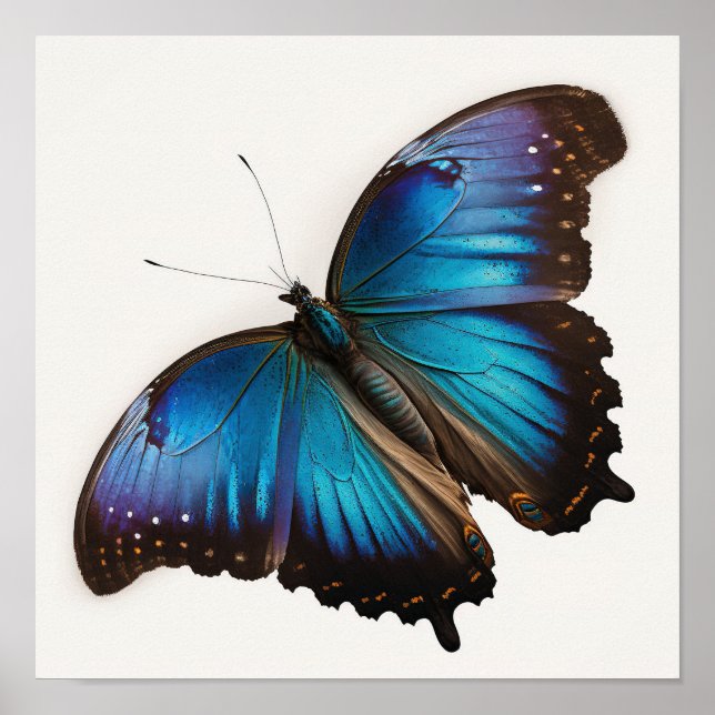 Póster de Arte de Mariposa Morpho Azul (Frente)