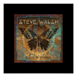 Poster de arte de mariposa negra