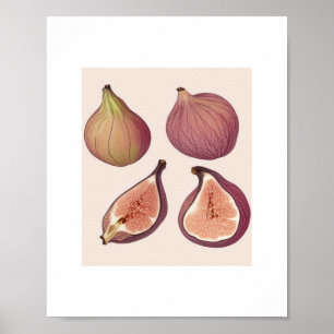 Poster DE ARTE DE MURO DE FRUTA